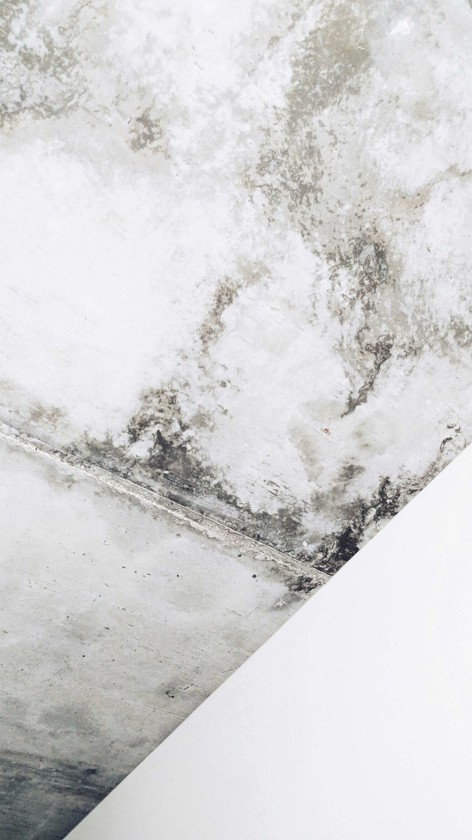 Tackling Mould and Damp – Your Complete Guide