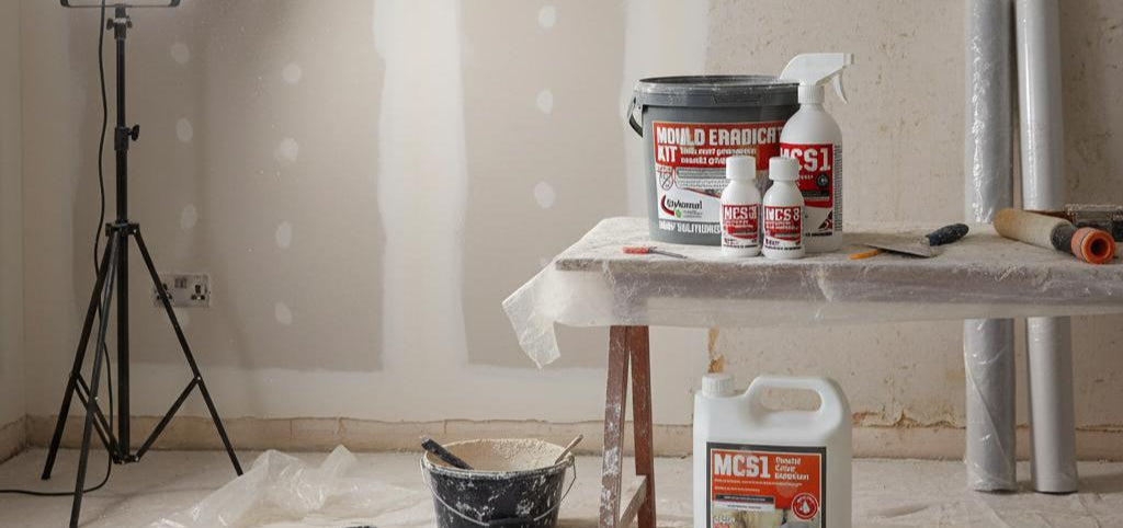 Mould & Fungal Control